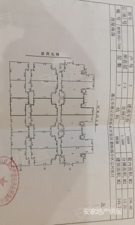 碧桂园(别墅)5室2厅3卫249.71㎡南199万