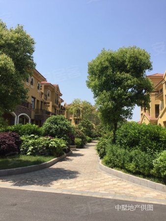 原树提香别墅 地铁三号线口 纵向奢华 肆意生活 外送两车位