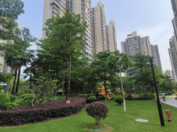 【多图】悦江上品苑,桥中租房,急租 悦江上品 河沙地铁200米 通透户型