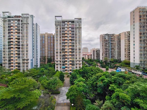 南宁青秀凤岭北维也纳森林凤岭北商圈,维也纳森林,新装修出租,业主好