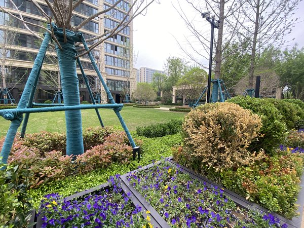 青岛李沧金水路绿城锦棠丽达对面 电梯房可办公 毛坯套三 有钥匙 可长