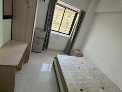 厦门思明湖滨北路七星西路欢乐颂体育中心岳阳小区对面福达里电梯单间内卫带大凸窗出租房源真实图片