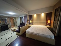 江锦国际 精装一房，大阳台 东边套，适合单身及情侣居住。