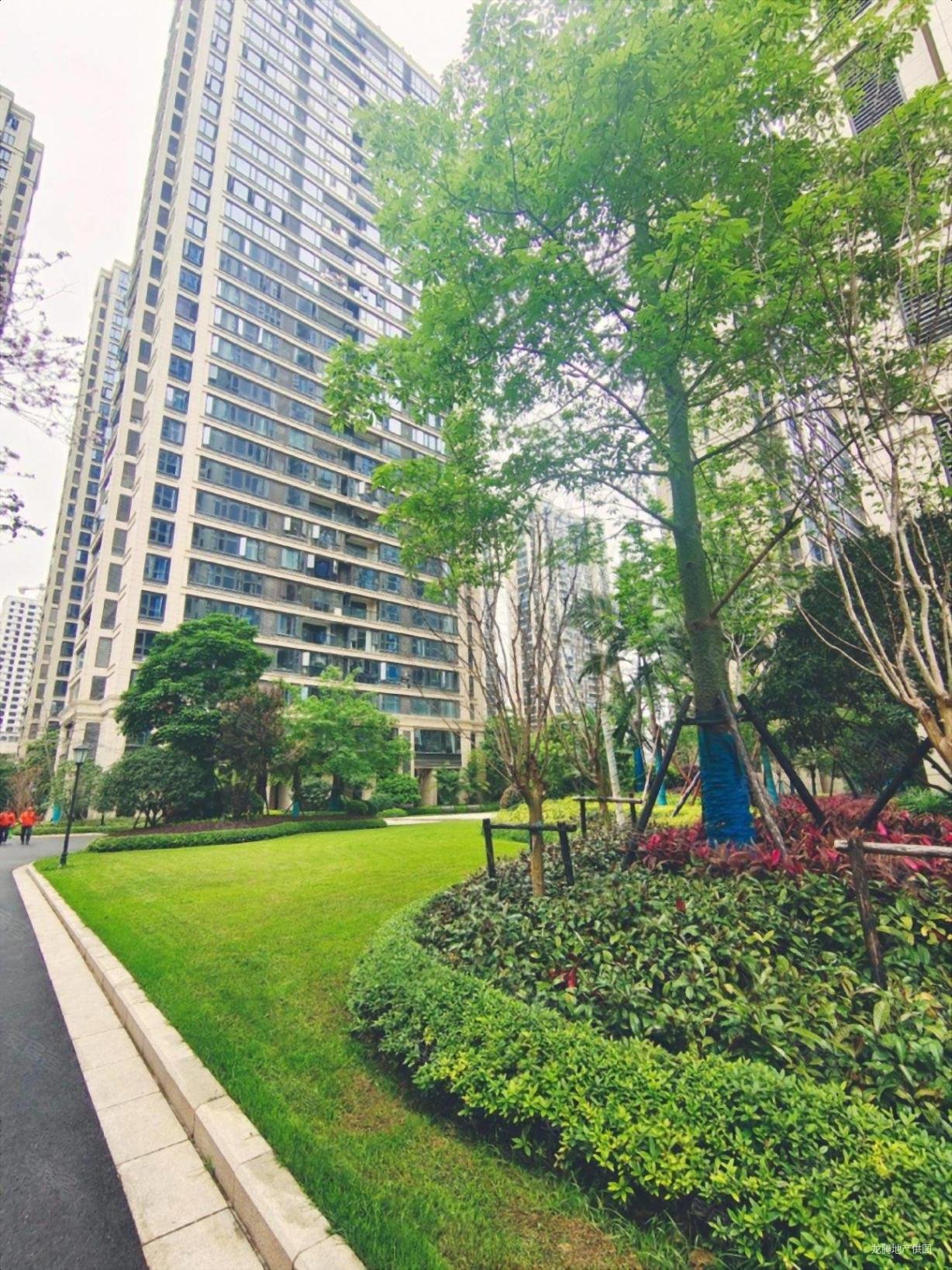 柳北白沙一线江景大平层绿城杨柳郡棕榈苑滨小户型方正