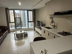 汉中南郑南郑大道大华公寓 复式出租 江边一室一厅出租房源真实图片