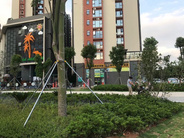 【多图】百丽名苑,观澜租房,龙华观澜富士康南门华为基地旁精装两房高