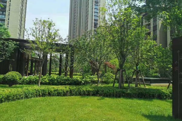 郑州小区 中牟小区 中牟县城小区 路劲国际城 路劲国际城怎么样