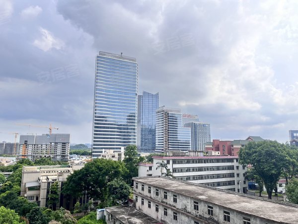 万胜围租房,琶洲新村 2室1厅1卫 配套齐全 电梯房 71平,海珠租房-广州