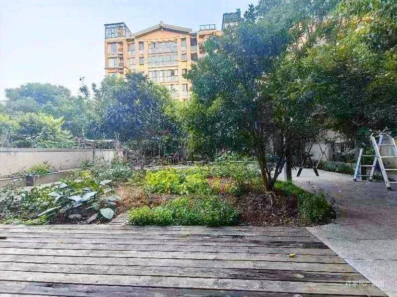 九玺台洋房边户,大院子