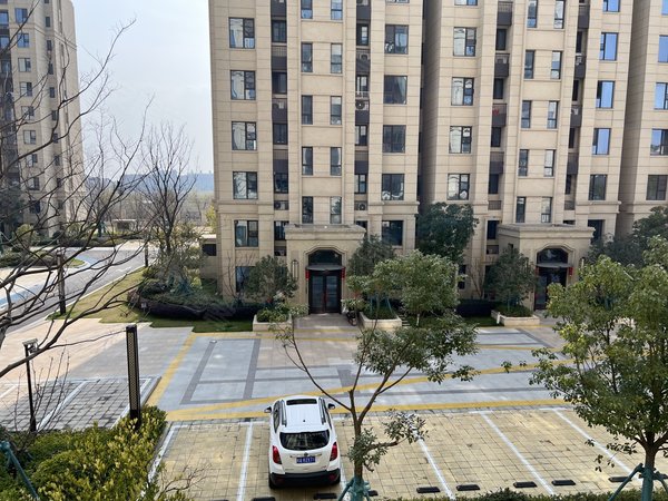 上海金山枫泾华发招商依云四季小区环境优美周边配套成熟出租房源真实