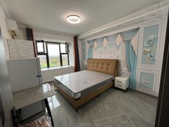 南通开发区苏通园区 实拍振华附近精装一室 家具家电齐全 拎包入住出租房源真实图片
