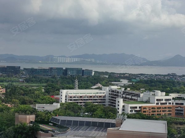 深圳南山华侨城湖滨花园(南山)湖滨电梯两房改三房.婚房出租.