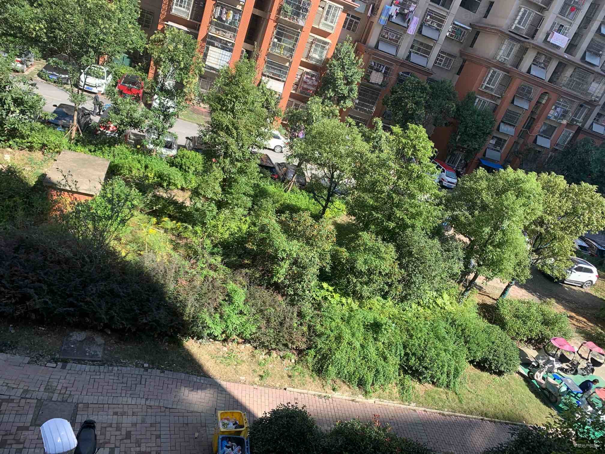 花冲公园置地中心对面地铁口梦和雅居二期厅带阳台随时看