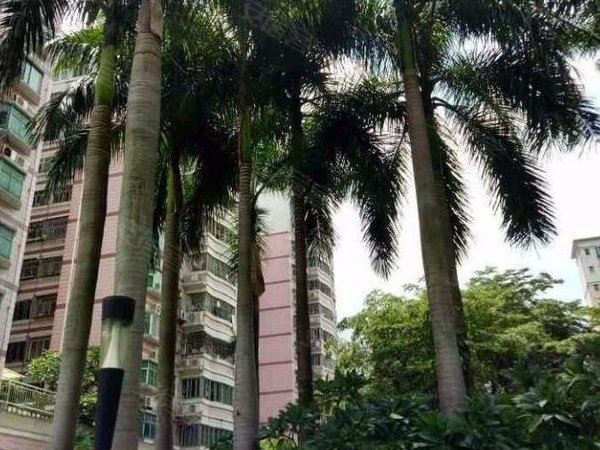 【多图】海滨城广场,翻身路租房,海滨城广场,干净舒适3房 随时看房