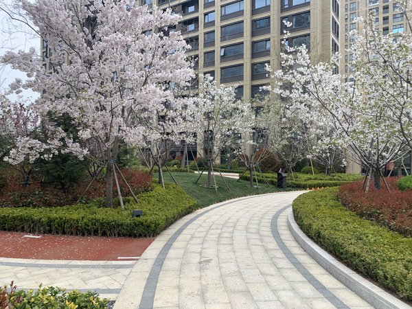 青岛李沧绿城绿城蘭园小高层 套三 高楼层 次新小区 看房方便 近丽达