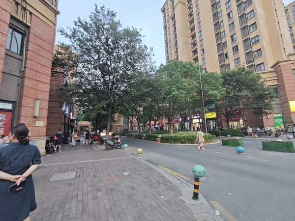 上海宝山罗泾旭辉城开发商装修 可自己配置家具家电 租金可优惠出租