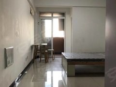 蚌埠禹会绿地世纪城大禹家园一室电梯房家具家电齐全600元有钥匙出租房源真实图片