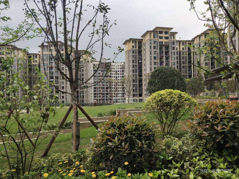 江北 石马河 国奥村三期清水可看江正3房 视野采光好