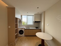 上海闵行颛桥15号线双柏路站，近颛桥万达精装一室一厅干湿分离，可养宠物出租房源真实图片