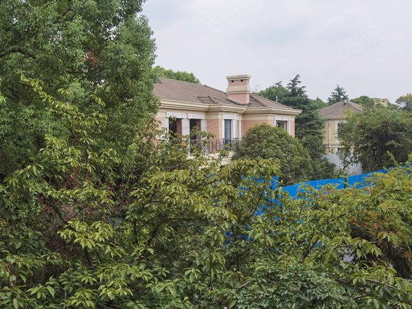 上海长宁西郊公园夏都花园可办公,夏都花园锡缺程度!