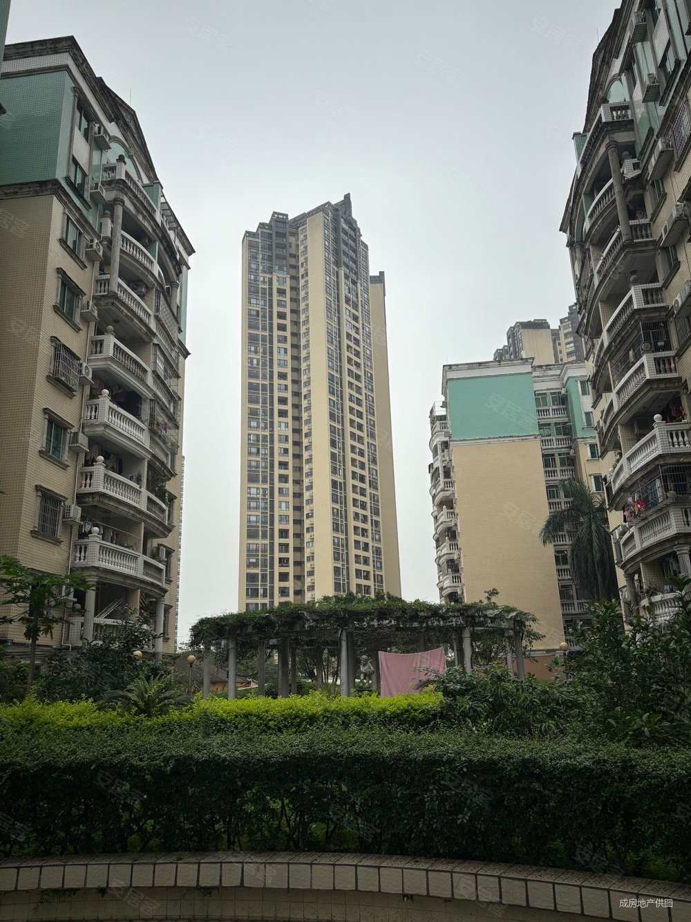 正南向3房 中层采光好,瑞丽花园二手房,120万,3室2厅,1卫,79平米-佛山