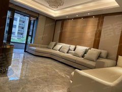 湖州吴兴八里店镇恒大豪华装修出租 品牌家电出租房源真实图片