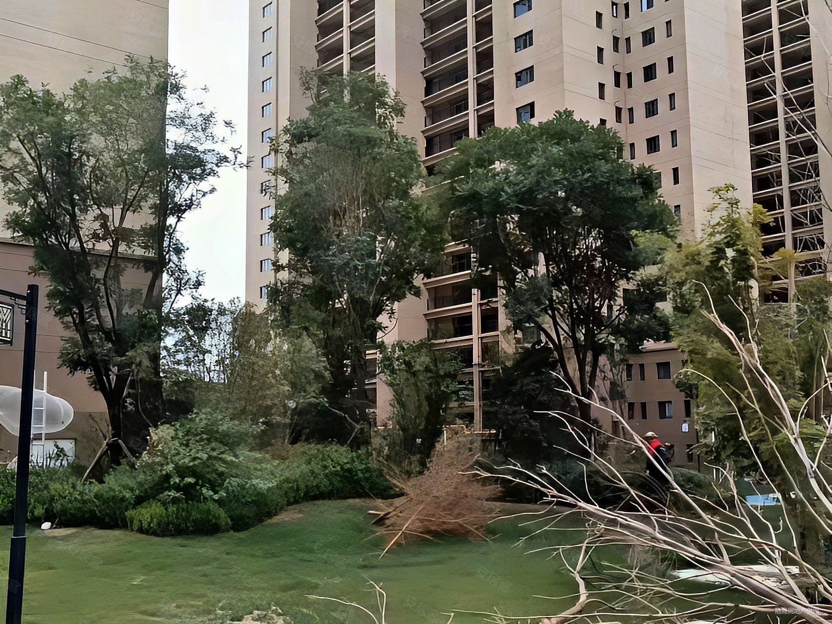 安宁区安宁碧桂园三室两厅两卫横厅南北通透随时看房