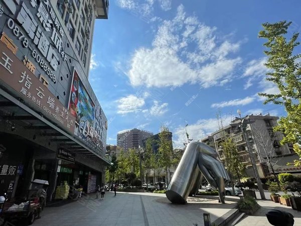 楚雄楚雄市楚雄城区丹麓小镇1200元月楚雄5楼精装丹麓小镇1房 46平