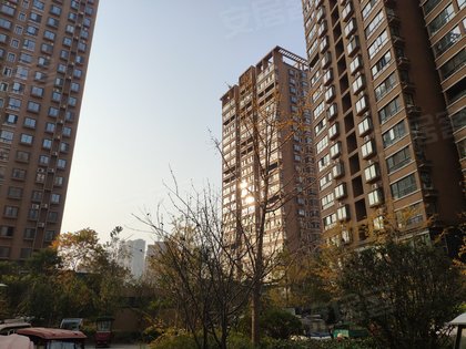 康城花园,310国道 - 商丘康城花园二手房,租房,房价-商丘安居客