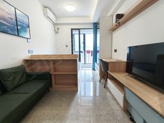 东莞南城体育路口精美公寓  地铁口物业  东江之星 精装1房公寓出租出租房源真实图片