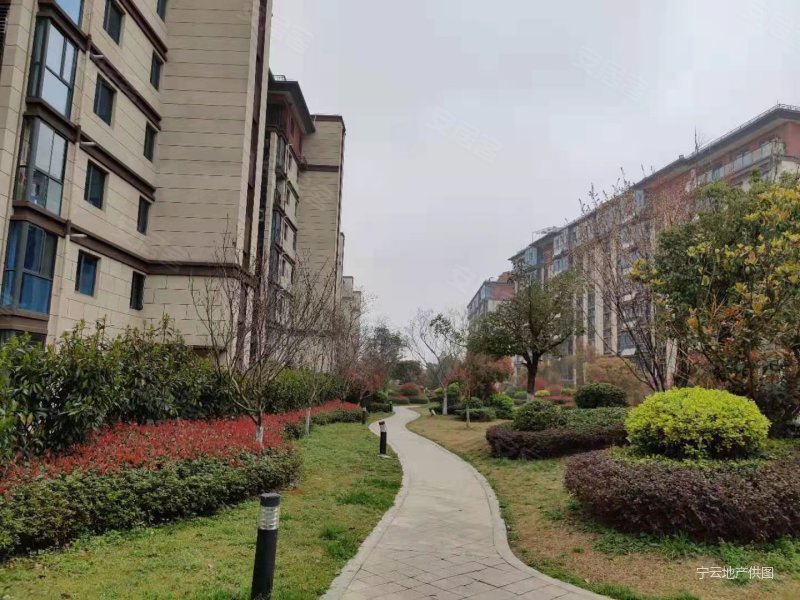 一楼带私家花园 低容积 南北通透 商品房 小区新 有地暖,南京碧桂园阅