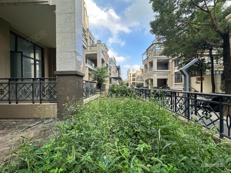 金沙洲 中海金沙湾 毛坯五房别墅 南向 自带车位花园 近地铁,中海金沙