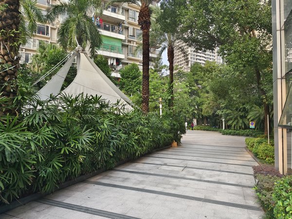 【多图】海怡东方花园,科苑租房,海怡东方花园 2室2厅1卫 电梯房 74平