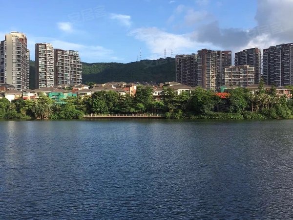 深圳龙华梅林关口星河丹堤星河丹堤b区一楼复式洋房,前后花园120平