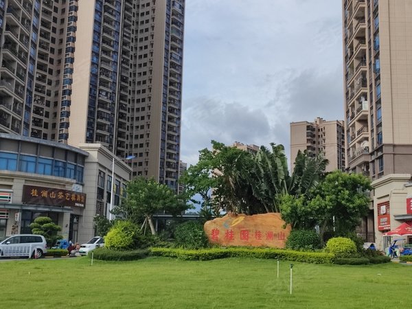 佛山顺德顺德碧桂园顺德碧桂园桂澜山高端定制家居 品牌家电 家私家电