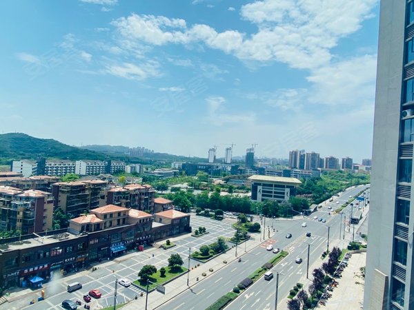 泸州江阳张坝碧桂园生态城轻奢北欧一室 实图实价!