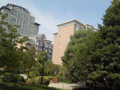 枫叶新都市