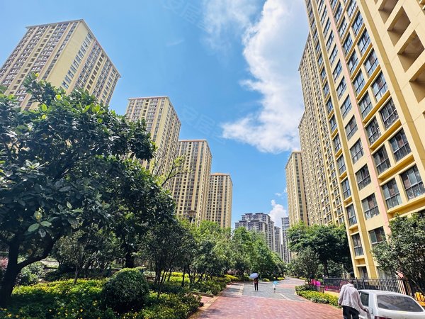 昆明官渡金马寺片区银杏廊亭交通好地段 特价直租 近