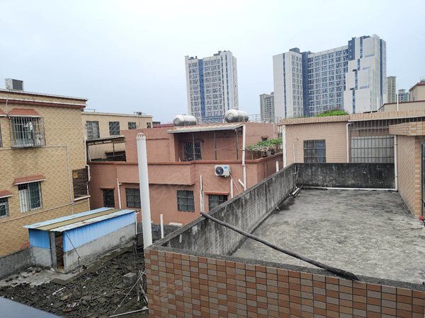 广州番禺洛溪厦滘村三号线厦滘,电梯公寓,全采光,厨卫分离,近地铁