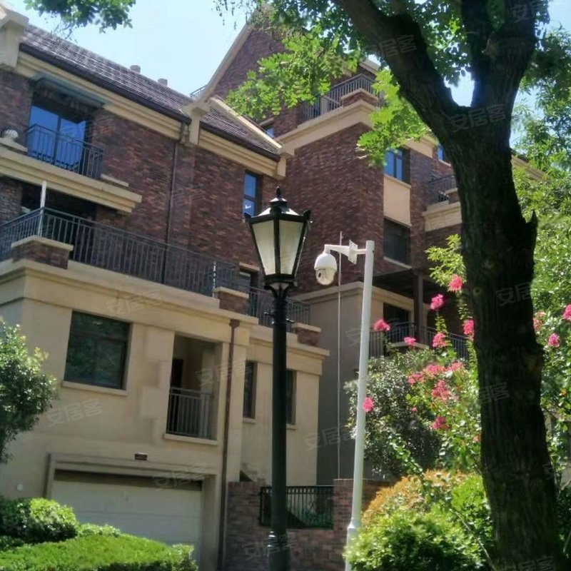 绿都温莎城堡别墅专家解读