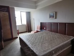 东台东台城区鼓楼路步行街出租：市中心电梯精装公寓，可押一付一，随时入住出租房源真实图片