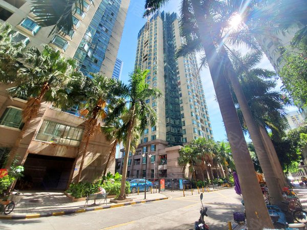 【多图】时代华庭,景田南租房,时代华庭 9楼三房双卫 安静随时入住