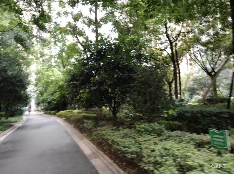 峨眉长岛3室2厅1卫80㎡南北30.5万