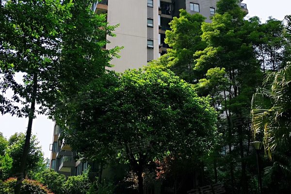 龙湖翠微清波b区