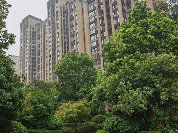 绍兴柯桥柯桥金地铂悦100方1200元!