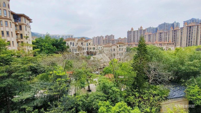 绿茵温莎堡双卫生间高绿化带电梯中间好楼层