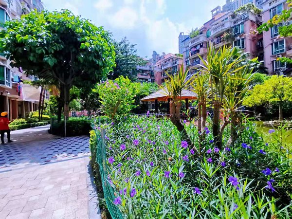 【多图】阳光花园,下水径租房,5号线下水径站 小高层电梯 2房2厅 部分