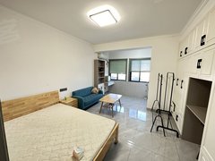 赛博公寓 精装一室 拎包入住 装修保养好