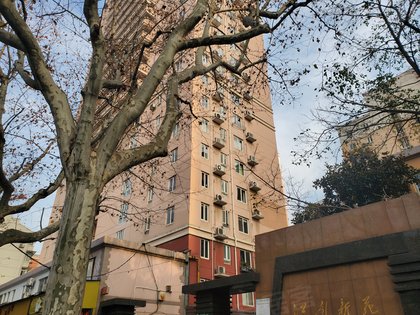 不足,江南新苑怎么样,江南新苑周边房产中介经纪人评价-上海安居客