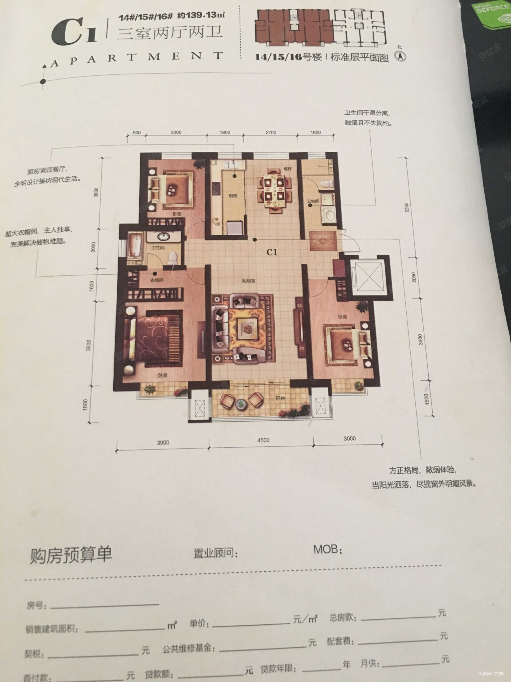 洋河左岸